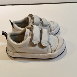 keds graham velcro